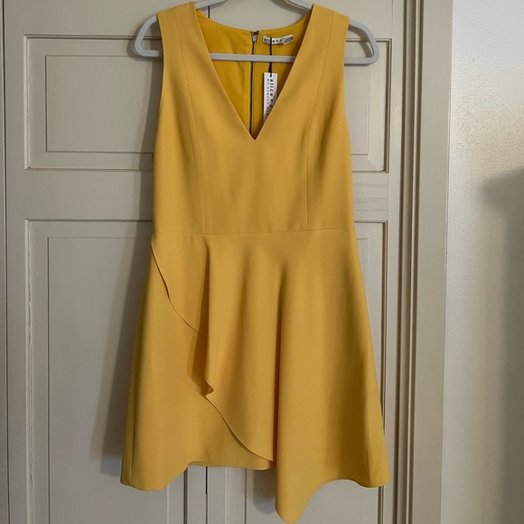 Alice + Olivia Dresses & Skirts - NWT Alice + Olivia dress!